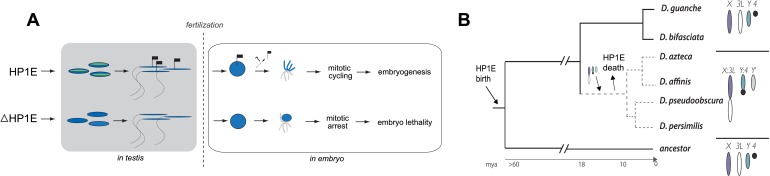 Figure 9.