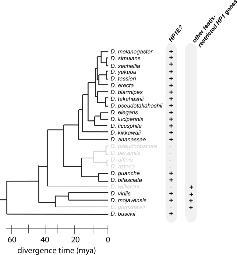 Figure 9—figure supplement 1.