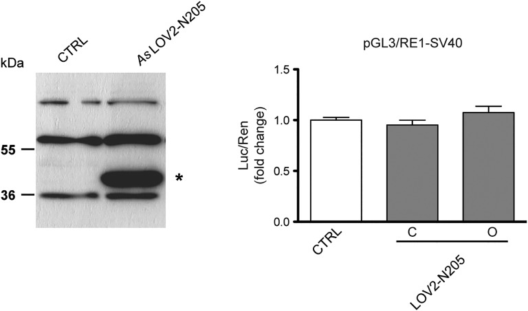 Fig. S2.