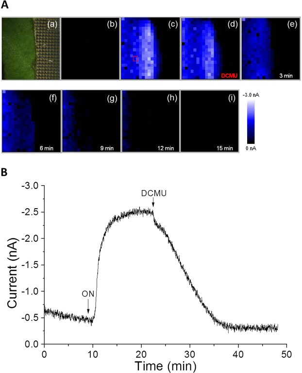 Figure 7