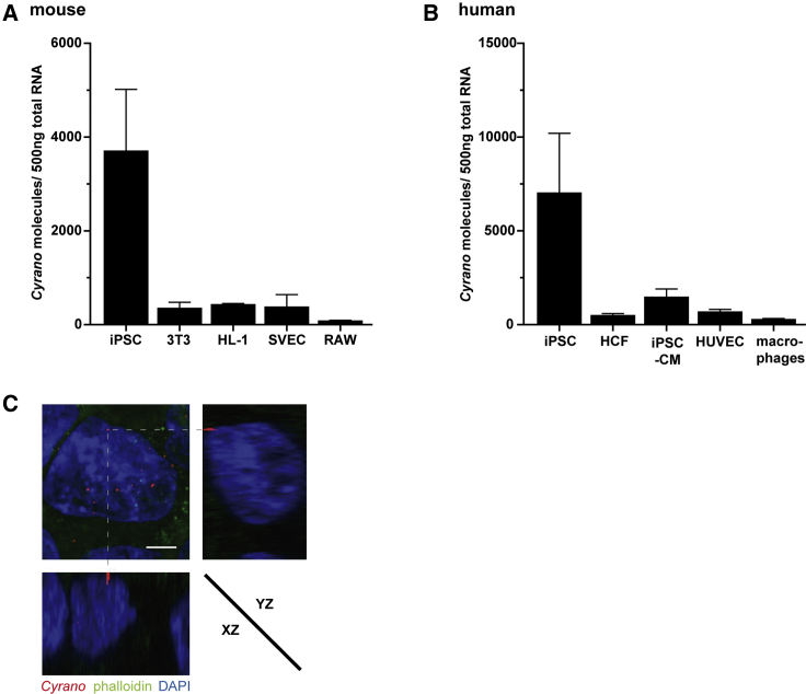 Figure 1