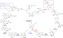 Scheme 6
