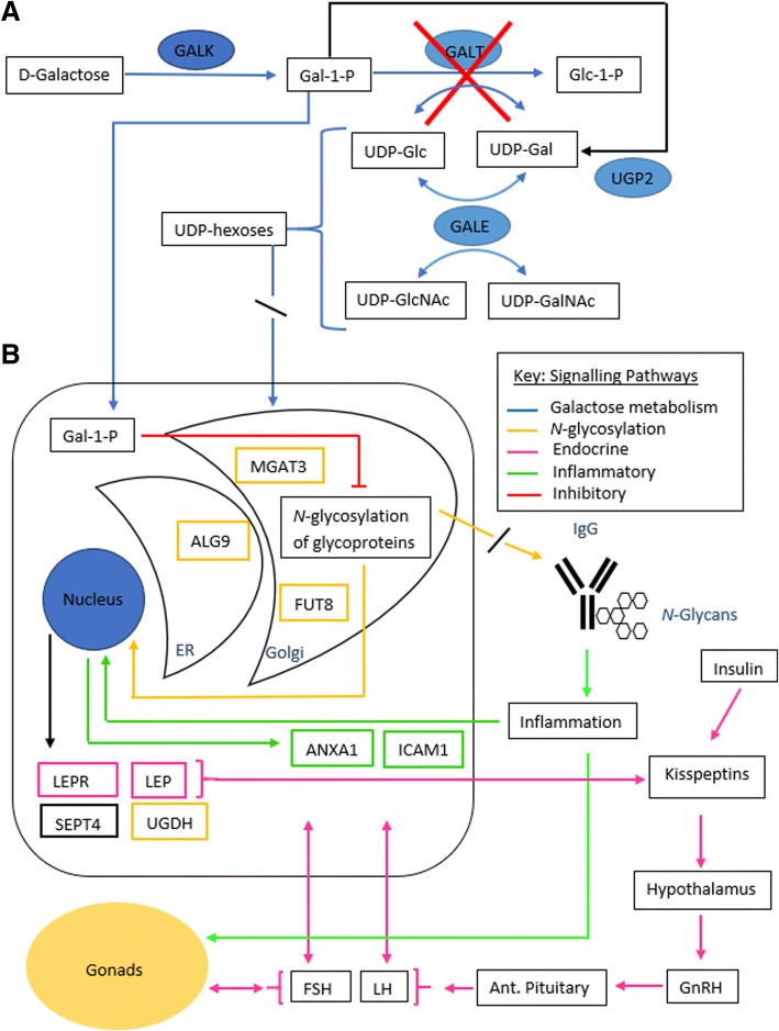 Fig. 4