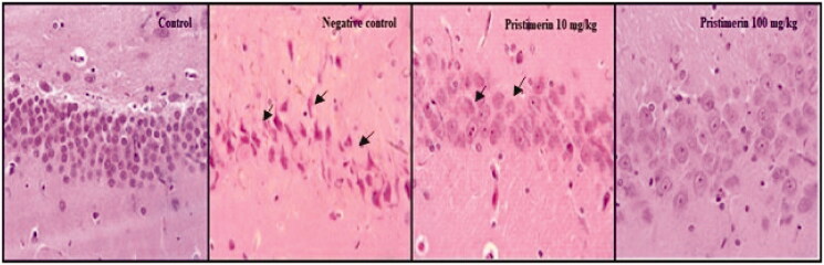 Figure 6.