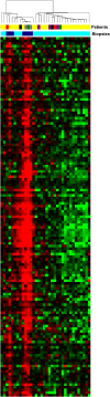 <b>Figure 1.</b>