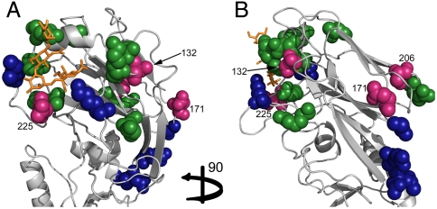 Fig. 5.