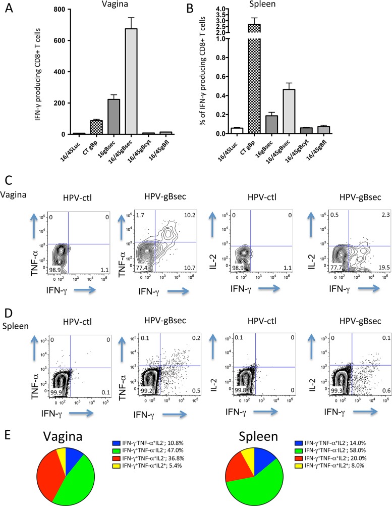 FIG 4