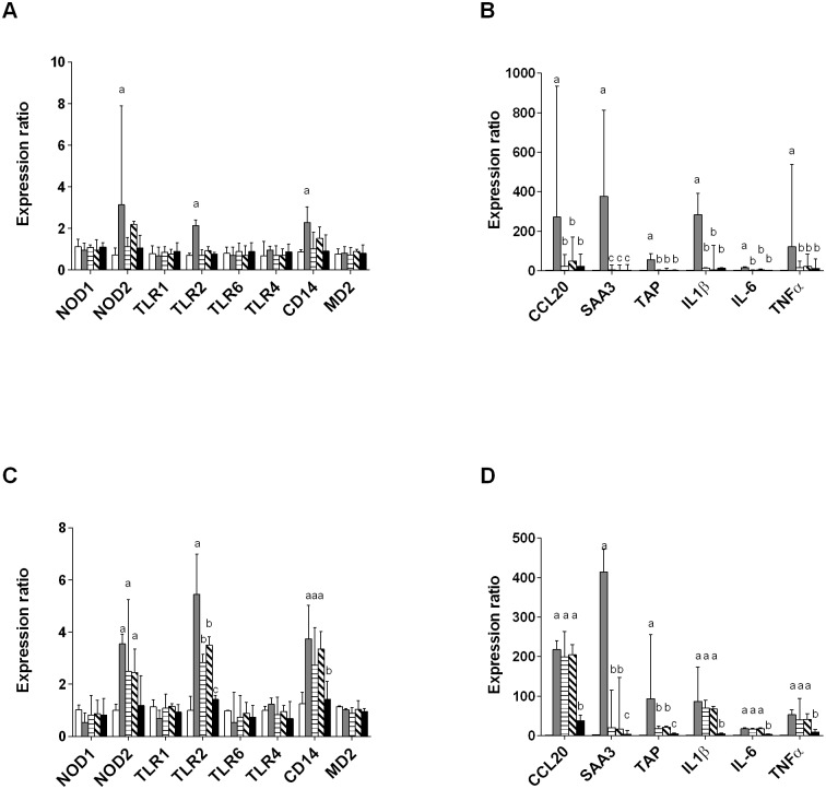 Fig 6