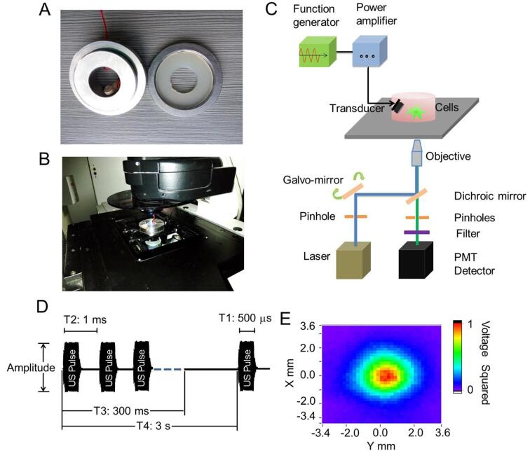 Fig. 1