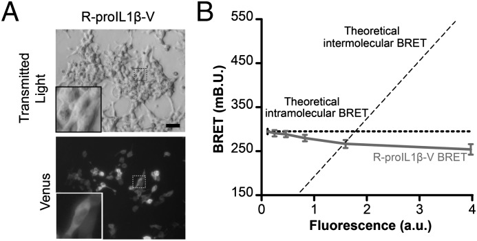 FIGURE 3.