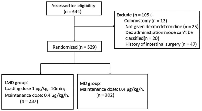 FIGURE 1