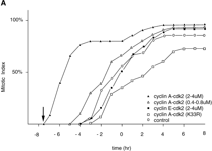 graphic file with name JCB9908021.f1a.jpg