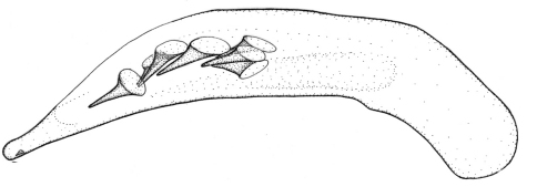 Figure 34.