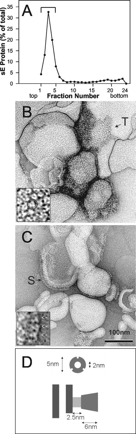 FIG.1.