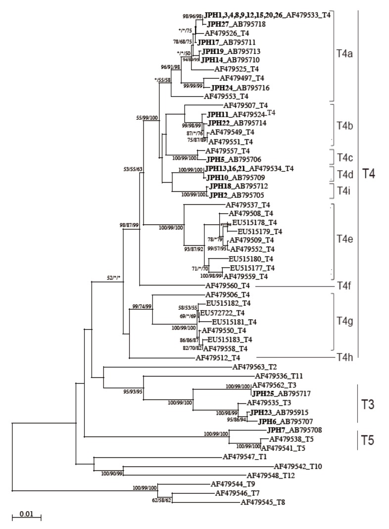 Fig. 3