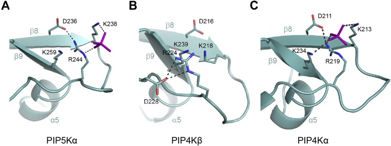 Fig. S4.