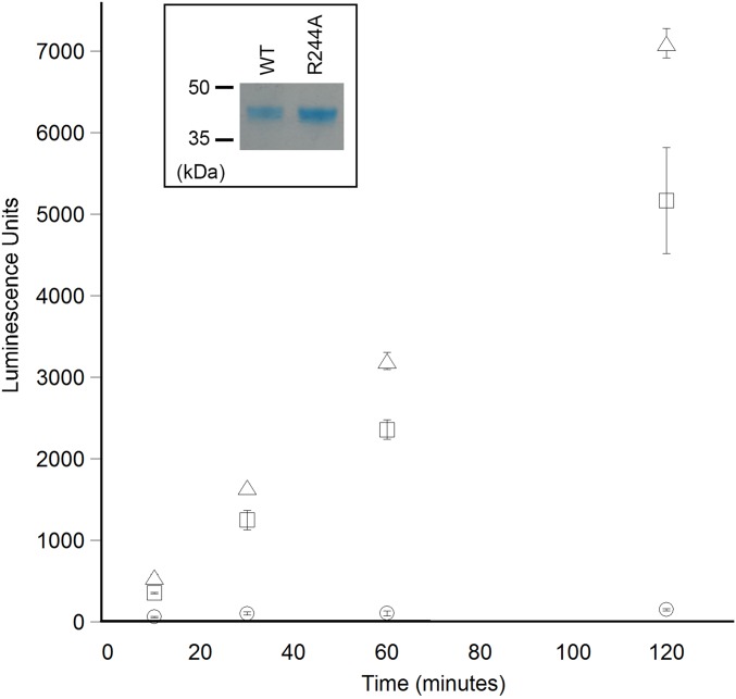 Fig. S3.