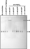Fig 3.