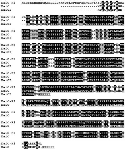 Fig 1.