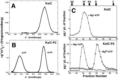 Fig 2.