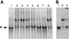 Fig 5.