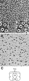 Fig 4.