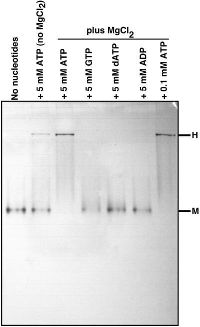 Fig 3.