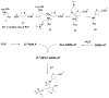 Scheme 4