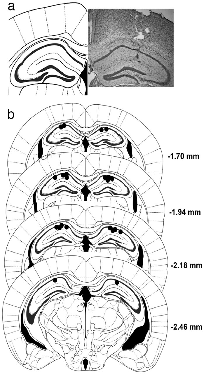 Figure 7.