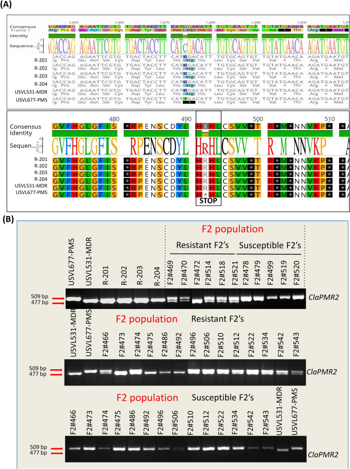 Figure 12