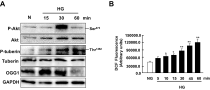 FIG. 8.