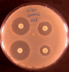 FIG. 1.