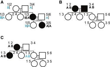 Figure 1