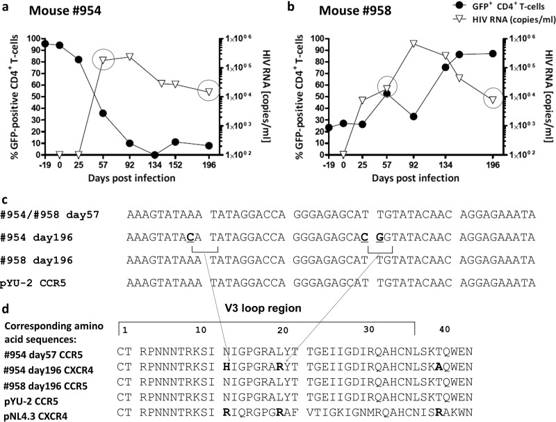 FIG 6