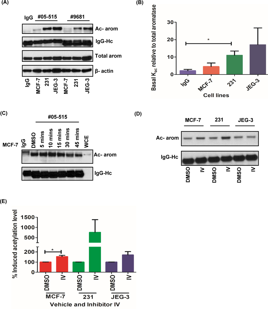 Figure 2: