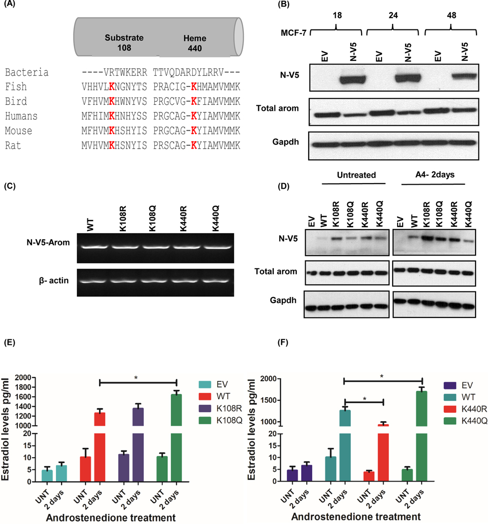 Figure 3: