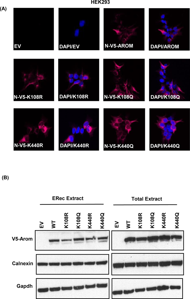 Figure 6: