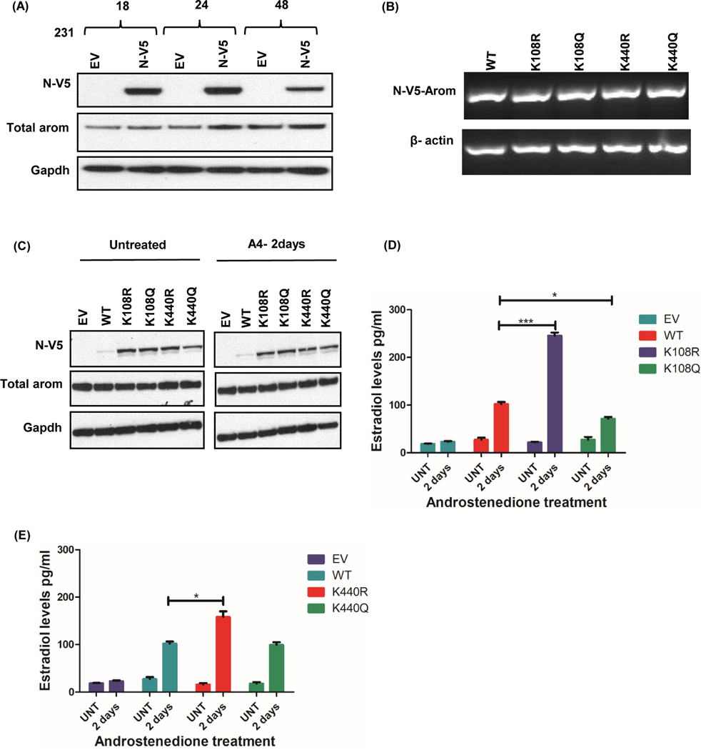 Figure 5: