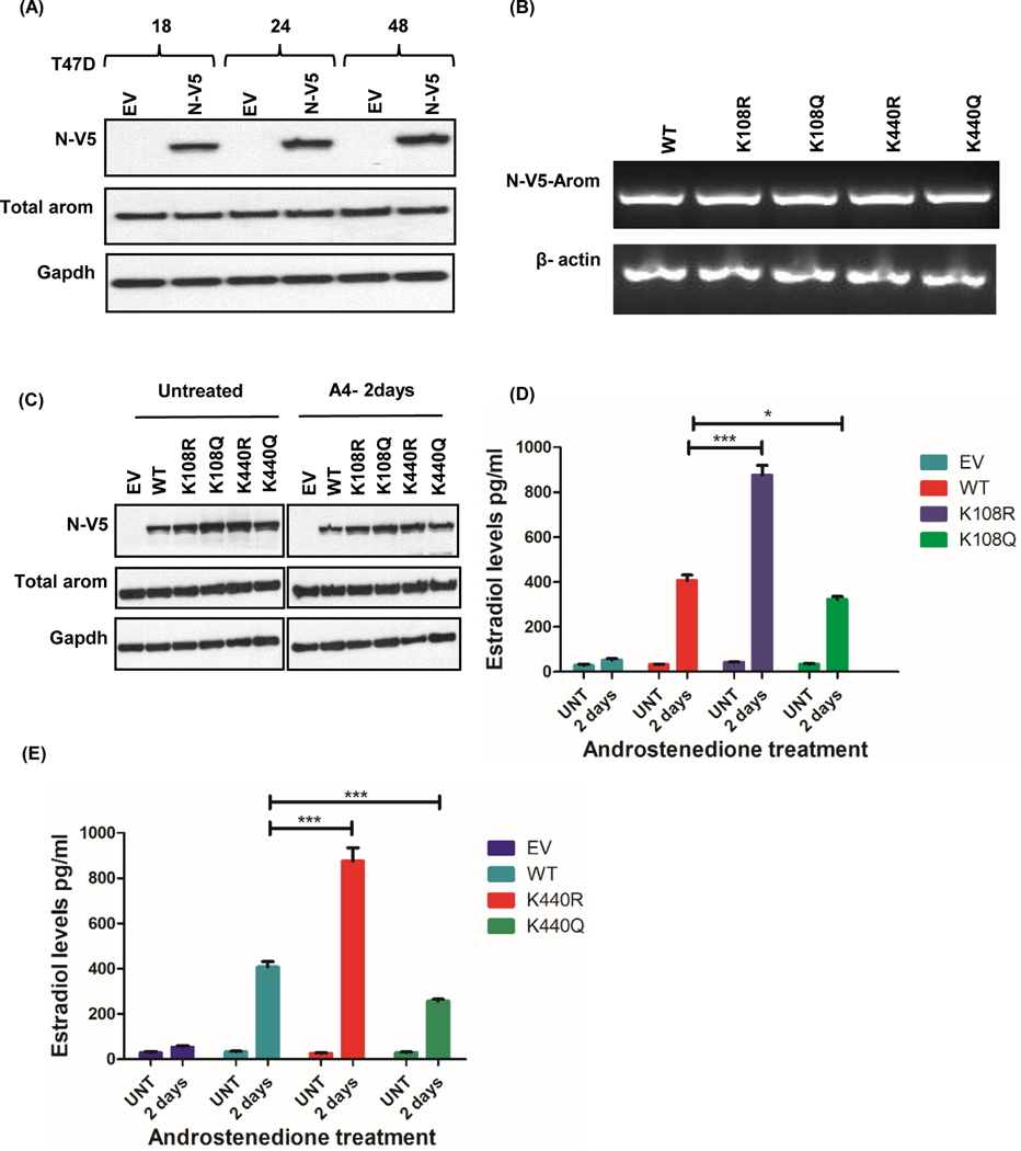 Figure 4: