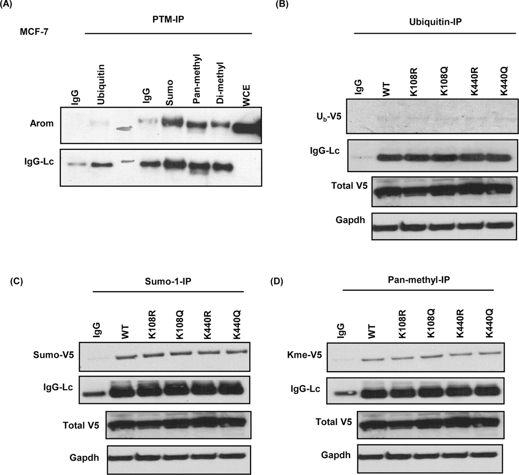 Figure 7: