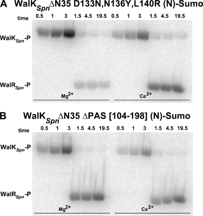 FIG. 5.