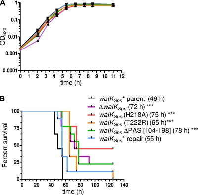 FIG. 7.