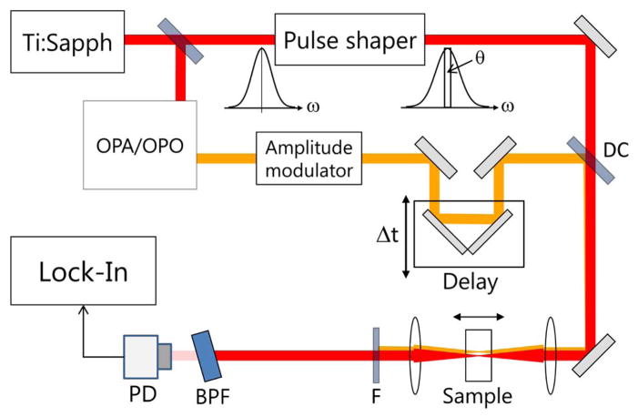 Fig. 2