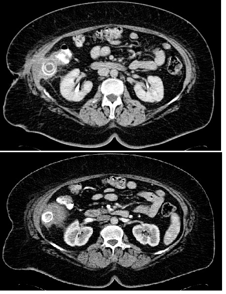 Fig. 5