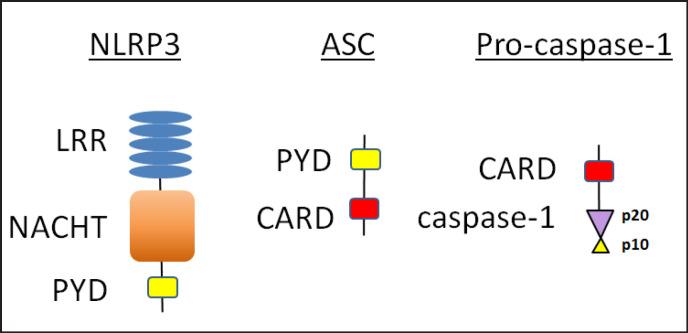 Fig. 1