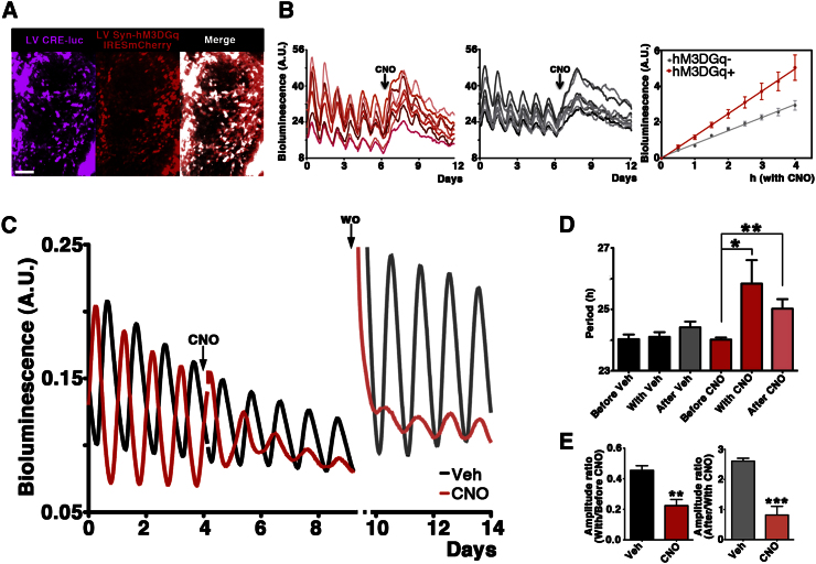 Figure 3