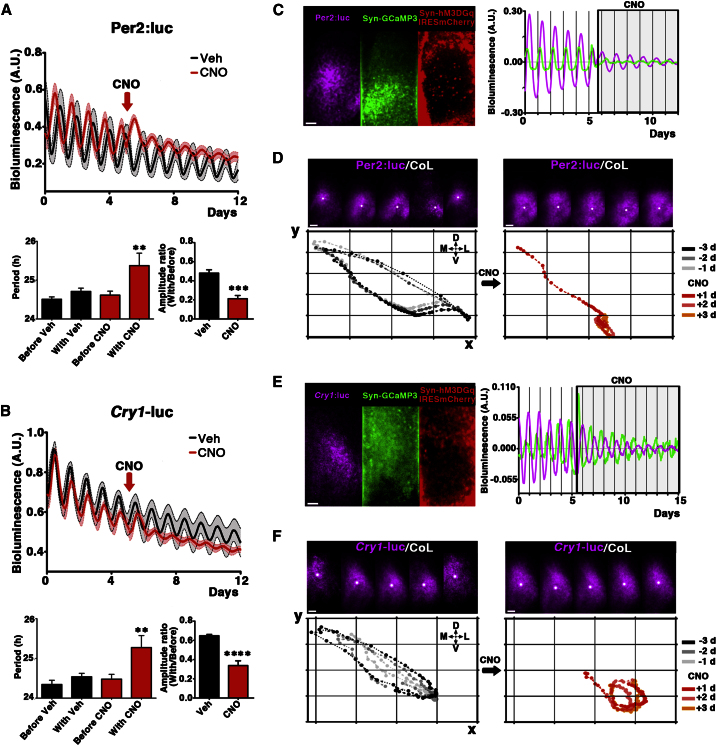 Figure 6