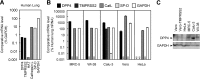 Fig 7