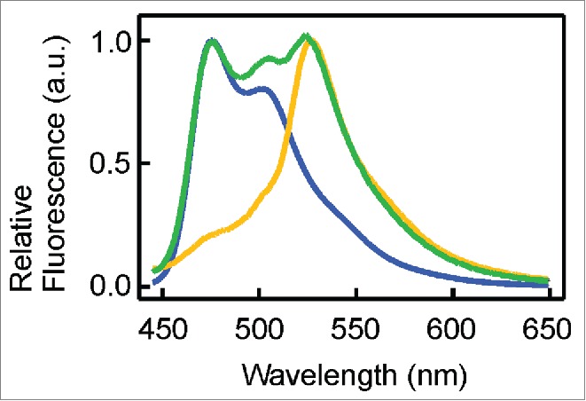 Figure 4.