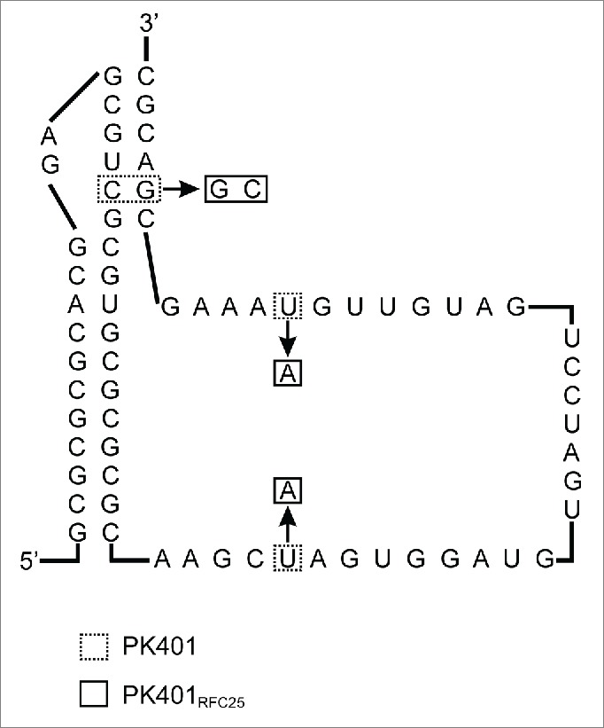 Figure 2.